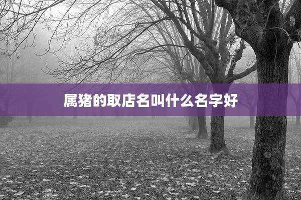 属猪的取店名叫什么名字好