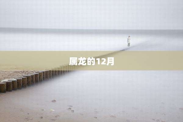 属龙的12月