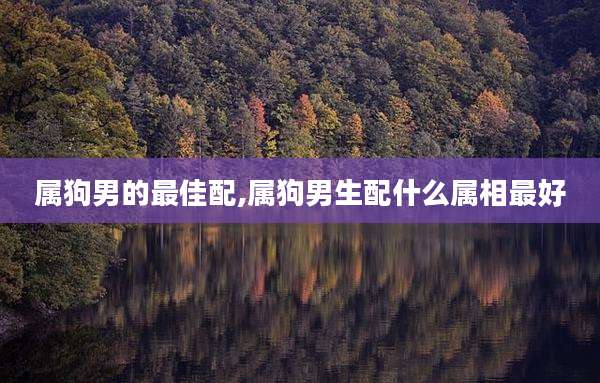 属狗男的最佳配,属狗男生配什么属相最好