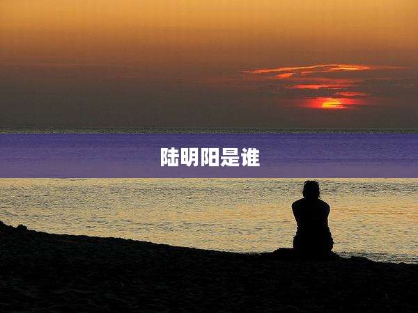 陆明阳是谁