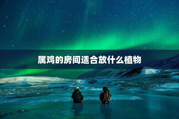 属鸡的房间适合放什么植物