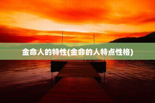 金命人的特性(金命的人特点性格)