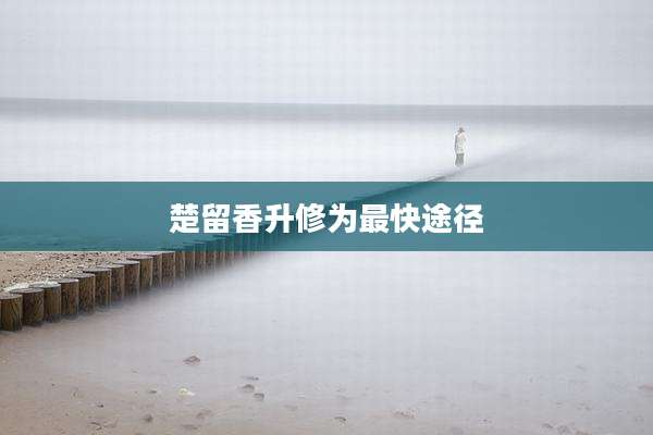 楚留香升修为最快途径
