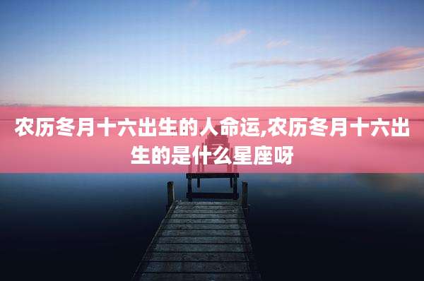 农历冬月十六出生的人命运,农历冬月十六出生的是什么星座呀