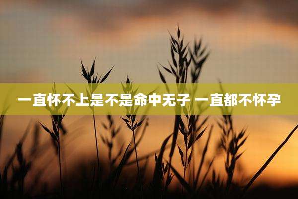 一直怀不上是不是命中无子 一直都不怀孕