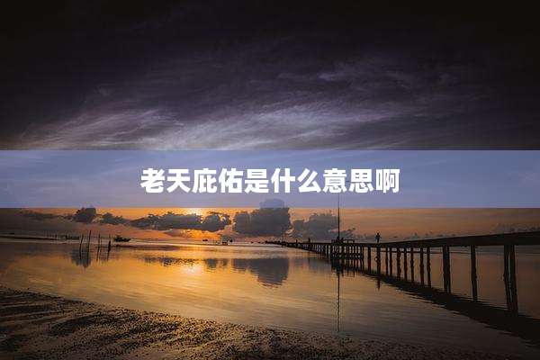 老天庇佑是什么意思啊