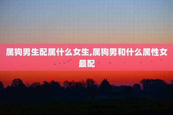 属狗男生配属什么女生,属狗男和什么属性女最配