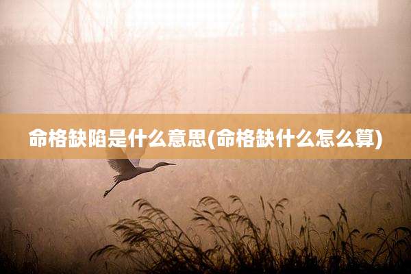 命格缺陷是什么意思(命格缺什么怎么算)