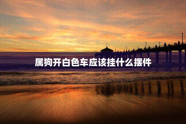 属狗开白色车应该挂什么摆件