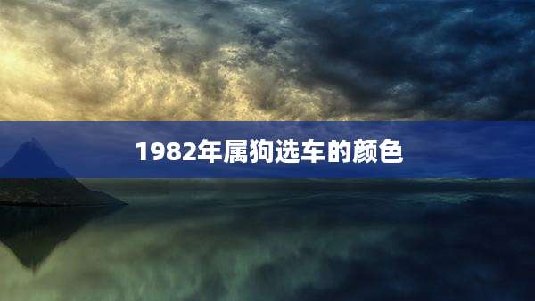 1982年属狗选车的颜色