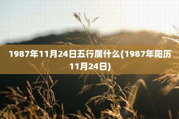 1987年11月24日五行属什么(1987年阳历11月24日)