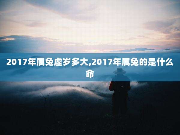 2017年属兔虚岁多大,2017年属兔的是什么命
