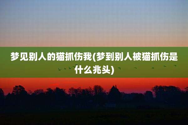 梦见别人的猫抓伤我(梦到别人被猫抓伤是什么兆头)