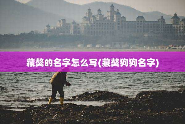藏獒的名字怎么写(藏獒狗狗名字)