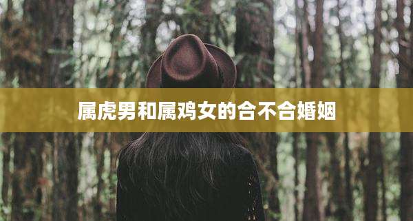 属虎男和属鸡女的合不合婚姻