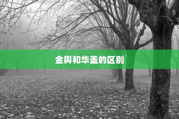 金舆和华盖的区别