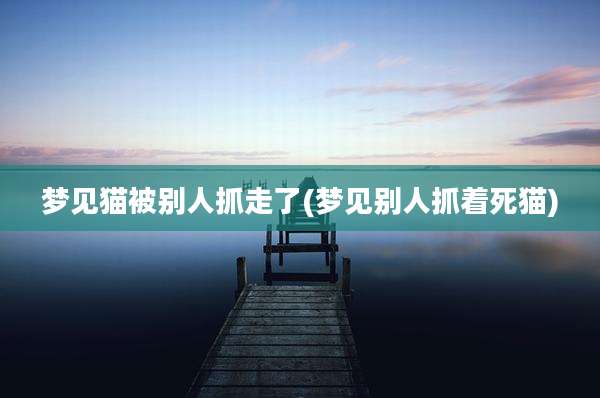 梦见猫被别人抓走了(梦见别人抓着死猫)