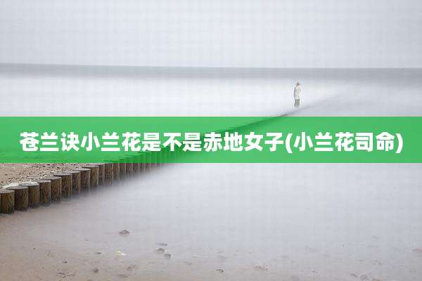 苍兰诀小兰花是不是赤地女子(小兰花司命)