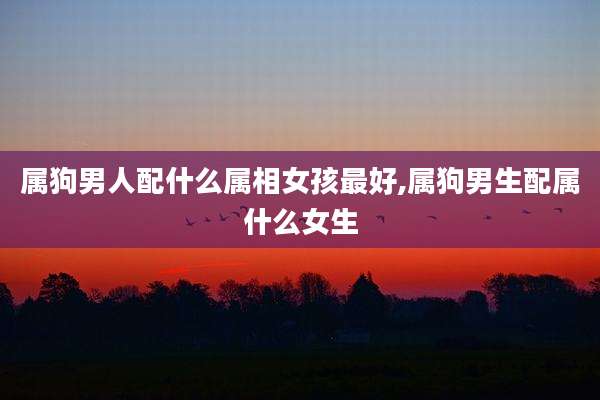属狗男人配什么属相女孩最好,属狗男生配属什么女生