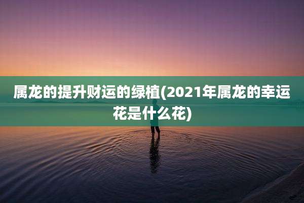 属龙的提升财运的绿植(2021年属龙的幸运花是什么花)
