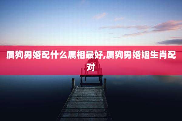 属狗男婚配什么属相最好,属狗男婚姻生肖配对