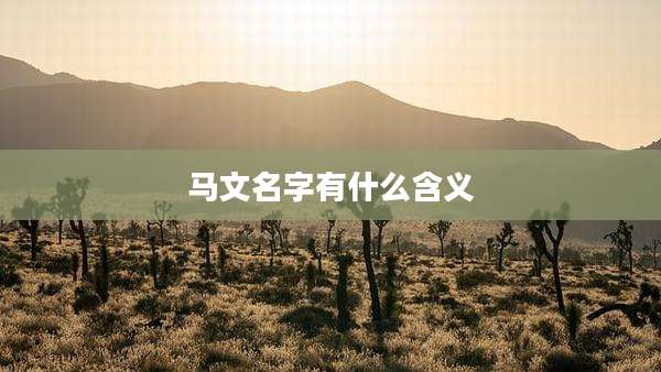 马文名字有什么含义