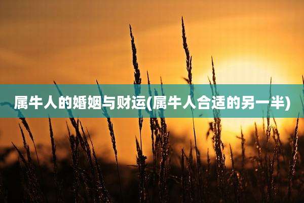 属牛人的婚姻与财运(属牛人合适的另一半)