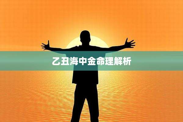 乙丑海中金命理解析
