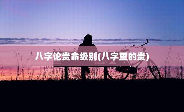 八字论贵命级别(八字里的贵)