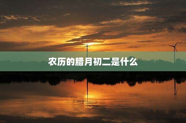 农历的腊月初二是什么