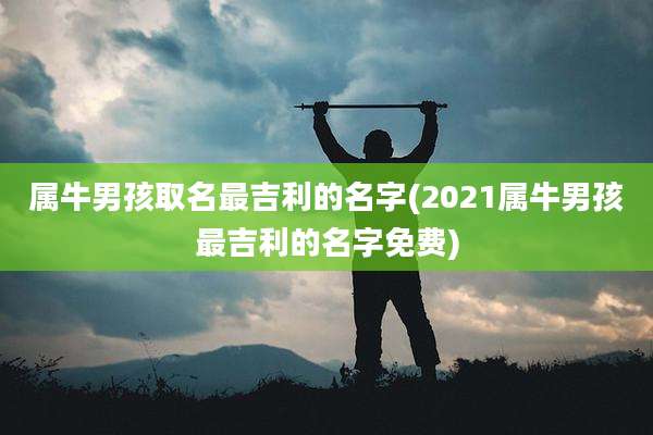属牛男孩取名最吉利的名字(2021属牛男孩最吉利的名字免费)