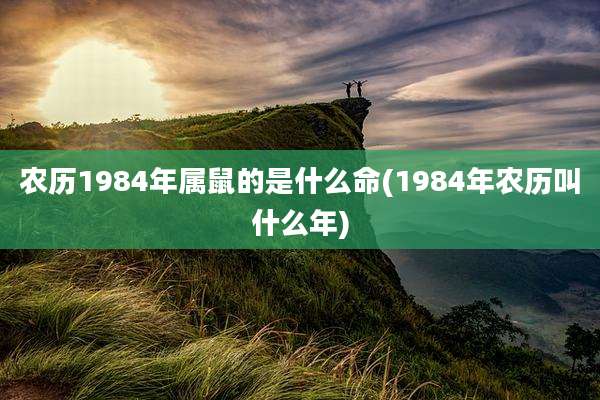 农历1984年属鼠的是什么命(1984年农历叫什么年)