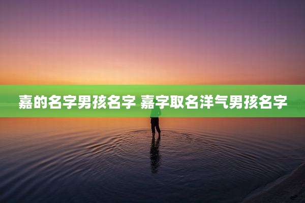 嘉的名字男孩名字 嘉字取名洋气男孩名字