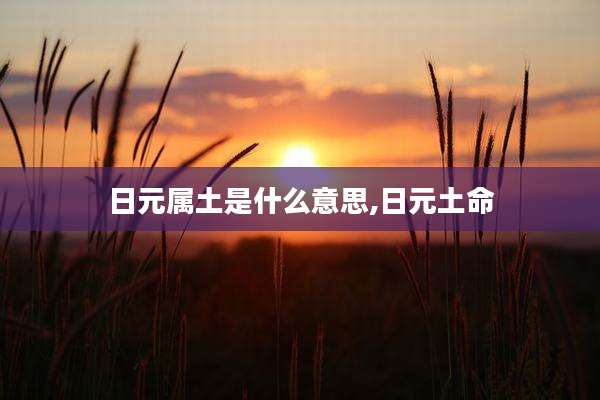 日元属土是什么意思,日元土命