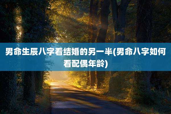 男命生辰八字看结婚的另一半(男命八字如何看配偶年龄)