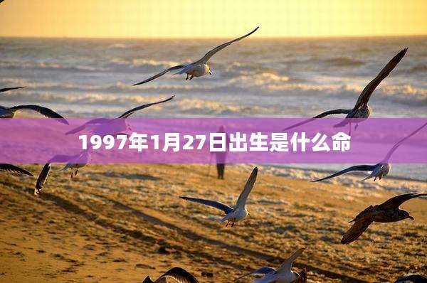1997年1月27日出生是什么命