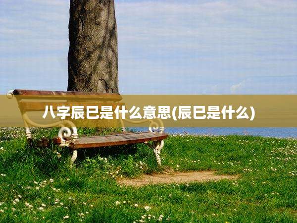 八字辰巳是什么意思(辰巳是什么)