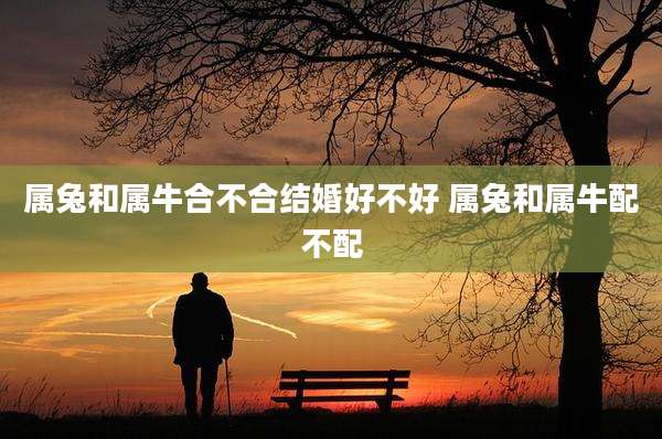 属兔和属牛合不合结婚好不好 属兔和属牛配不配