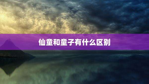 仙童和童子有什么区别