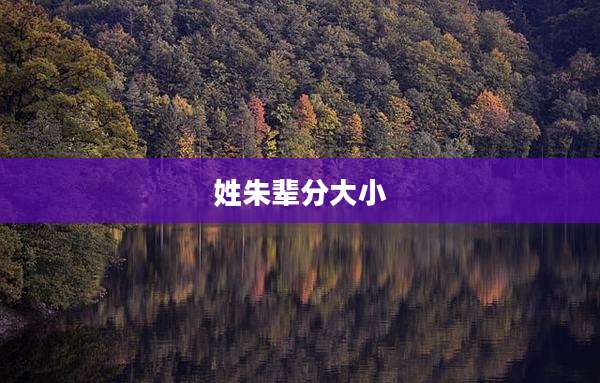 姓朱辈分大小