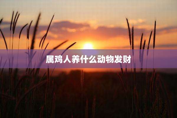 属鸡人养什么动物发财