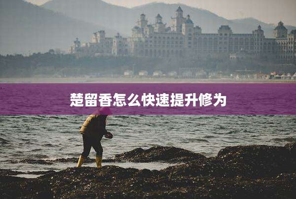 楚留香怎么快速提升修为