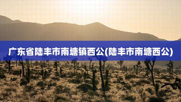 广东省陆丰市南塘镇西公(陆丰市南塘西公)