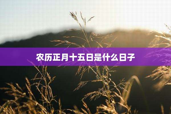 农历正月十五日是什么日子