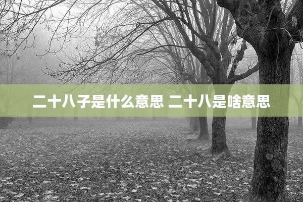 二十八子是什么意思 二十八是啥意思