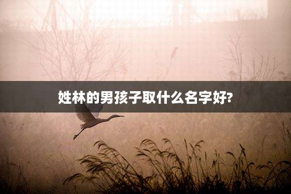 姓林的男孩子取什么名字好?