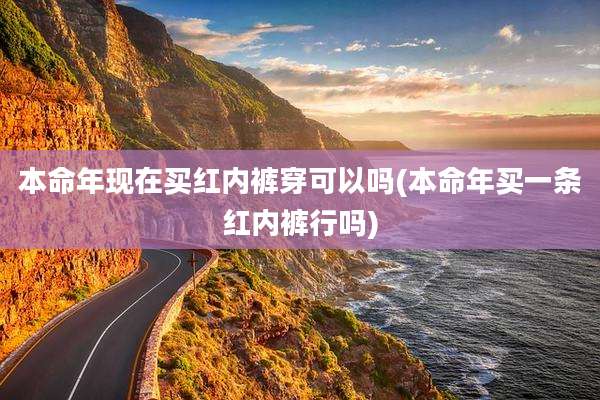本命年现在买红内裤穿可以吗(本命年买一条红内裤行吗)