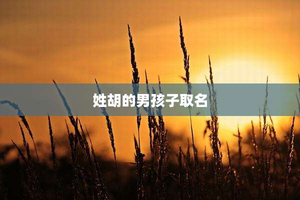 姓胡的男孩子取名