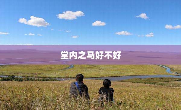 堂内之马好不好