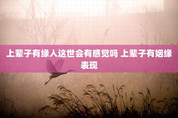 上辈子有缘人这世会有感觉吗 上辈子有姻缘表现
